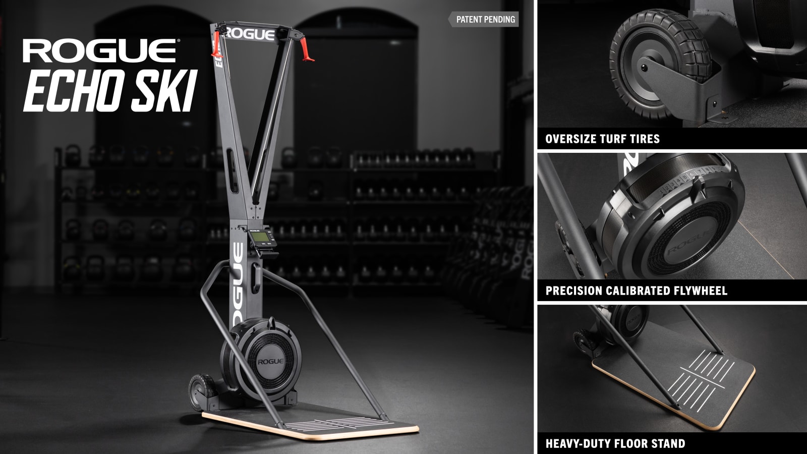 Rogue Echo SKI