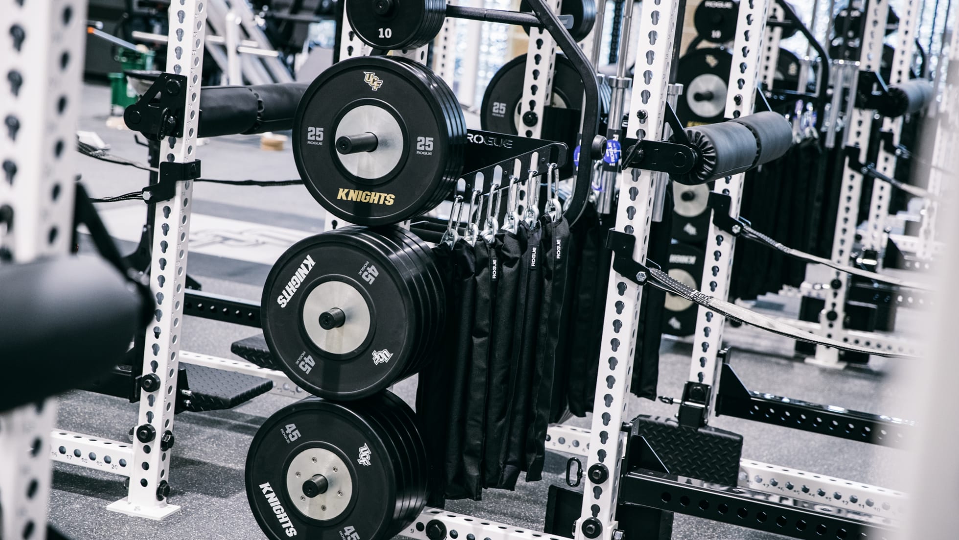 Rogue Fitness Monster Chain Hanger - Thumbnail 4