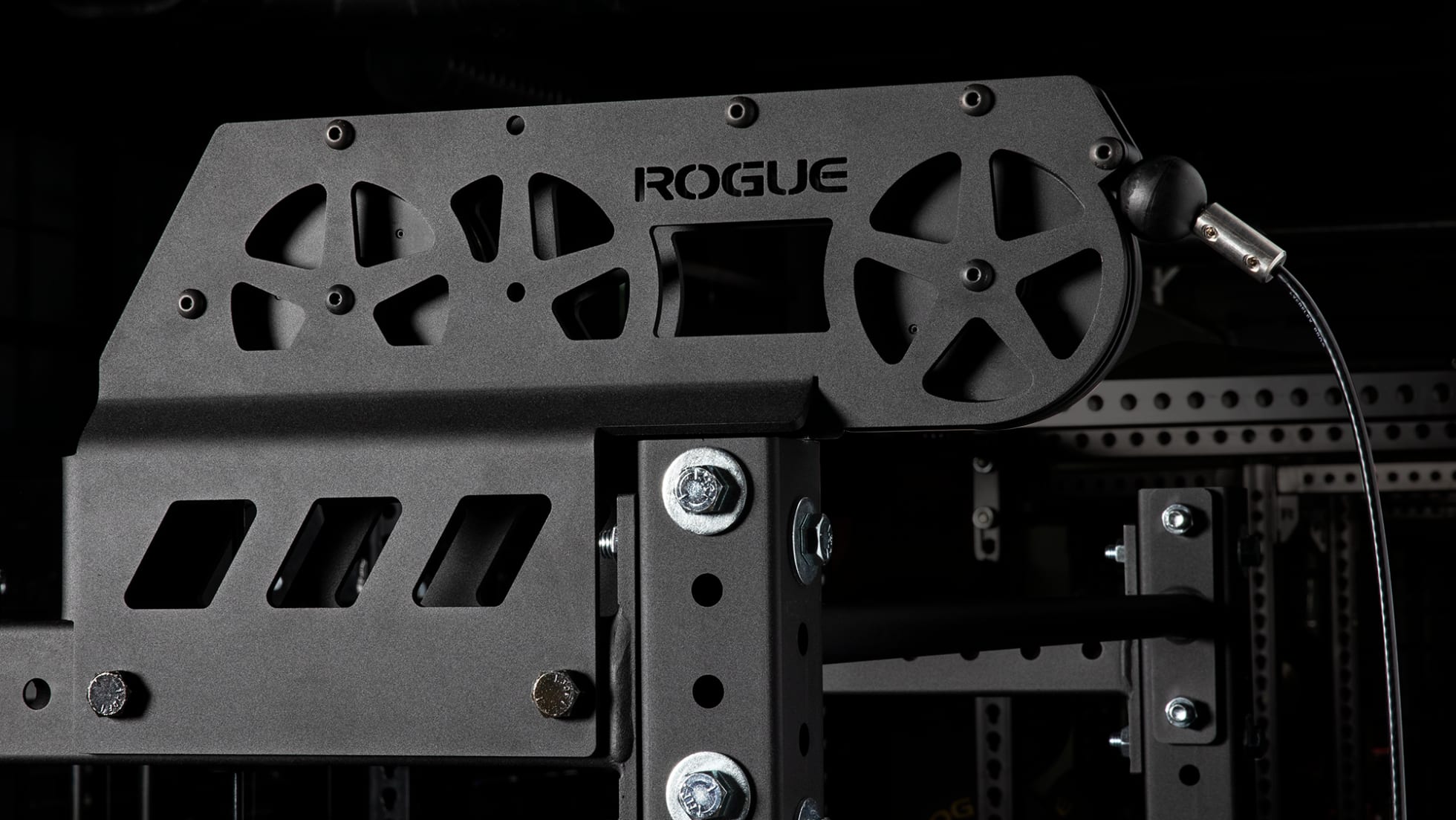 Rogue Fitness Monster Lite Slinger