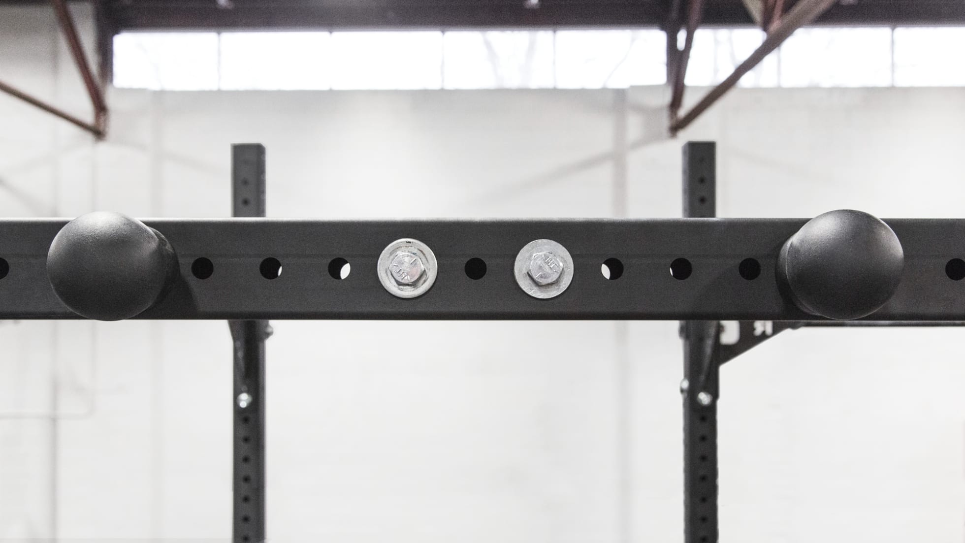 Rogue Fitness Monster Lite Pull-up Spheres
