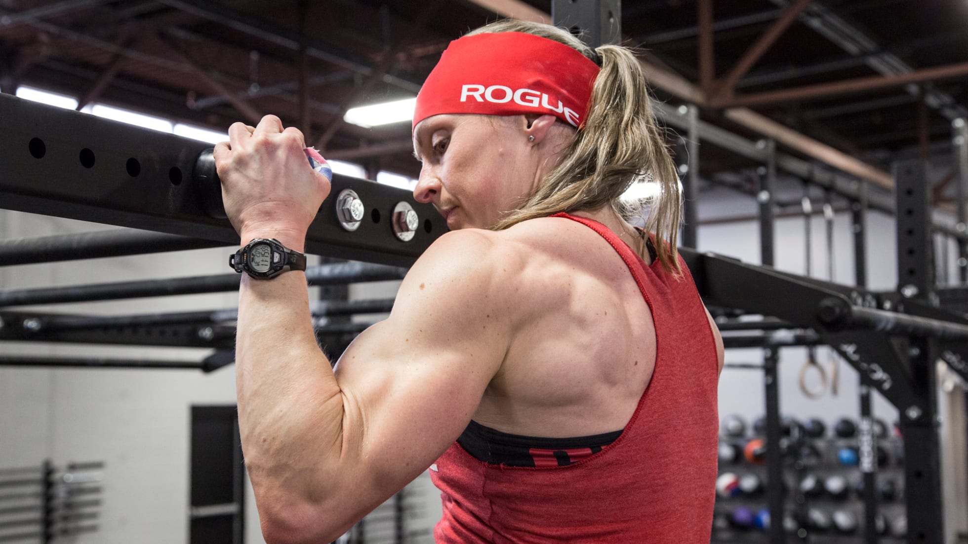 Rogue Fitness Monster Lite Pull-up Spheres - Thumbnail 2
