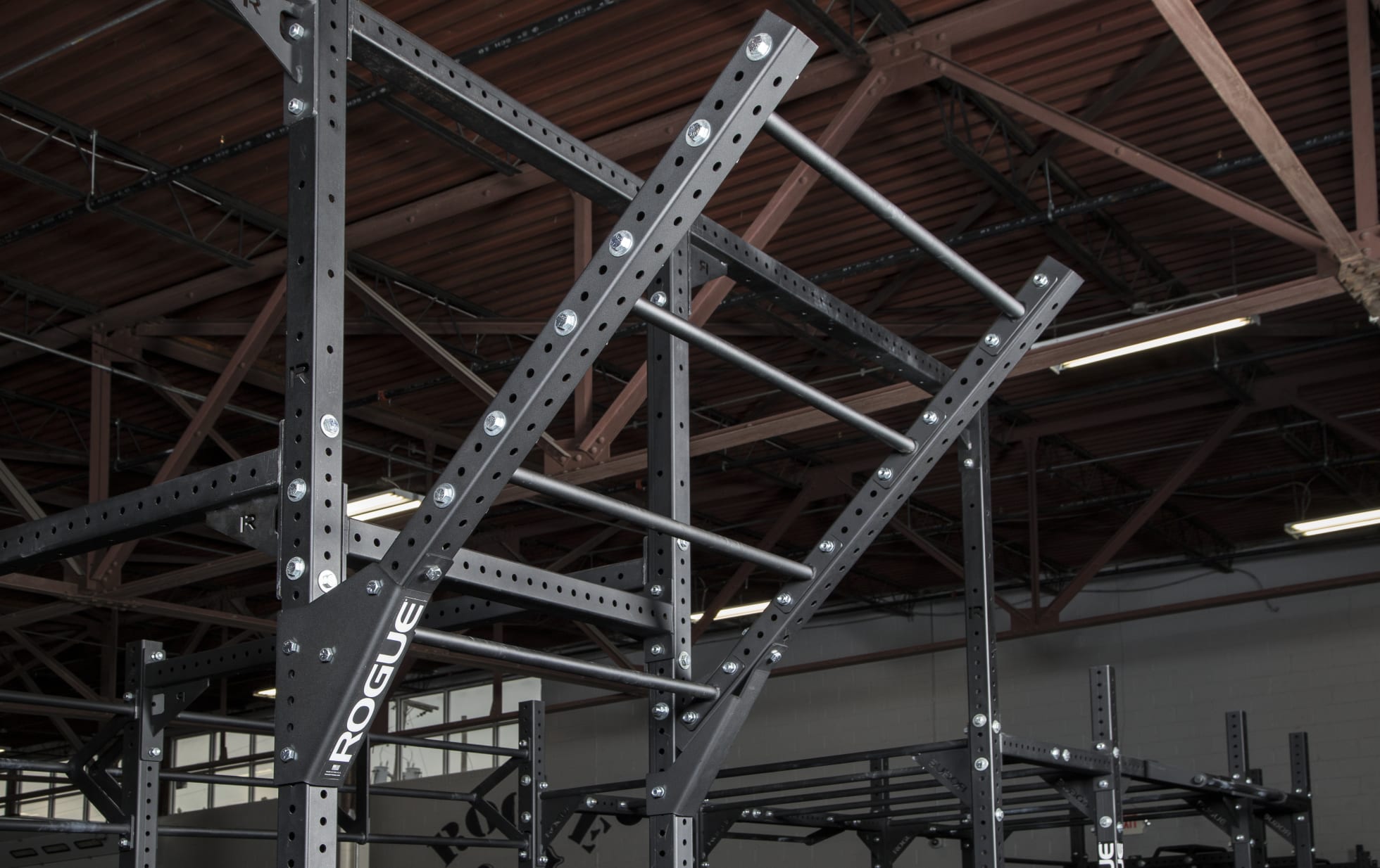 Rogue Fitness Monster Lite Flying Pull-up Bar
