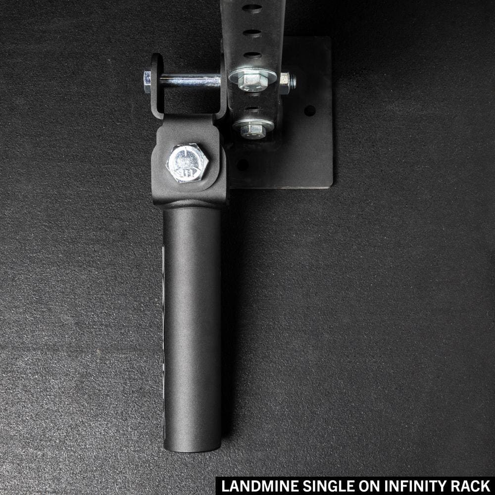 Rogue Fitness Landmine Handles - Thumbnail 4