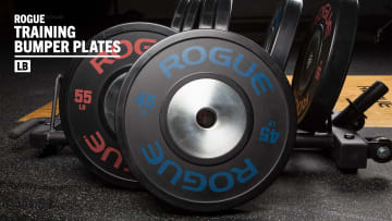 2025 Plate Header Update/Rogue-LB-Training-2.0-Plates-GFX_mgh48c