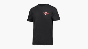 catalog/Apparel/Men's Apparel/T-Shirts/HW1101/HW1101-H-2_dax5di