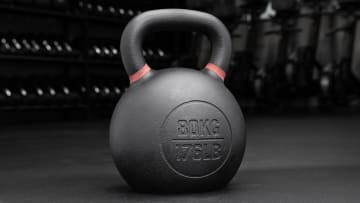 catalog/Conditioning/Strength Equipment/Kettlebells/IP0670/IP0670-176LB_roxeyl