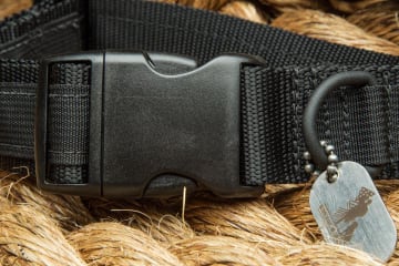 Rogue Dog Collar MIL Edition