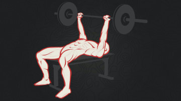 catalog/Gear and Accessories/Books and Media/EBOOKS/BTWB Varied Not Random - Bench Press Capacity (eBook) VN0003/VN0003-H_ognxpn