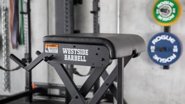 catalog/Strength Equipment/Strength Training/Lower Body Training/WESTSIDEGROUP/WESTSIDEGROUP-WEB9_mnkafd