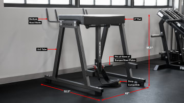 catalog/Strength Equipment/Strength Training/Reverse Hypers/XX8199/XX8199-H_tyvshg