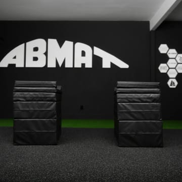 catalog/Strength Equipment/Training Accessories /AB0040/AB0040-Web3_judysr