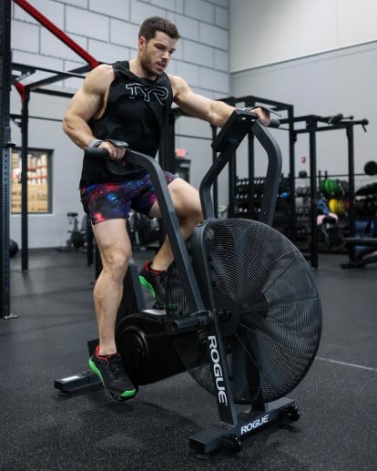 rogue echo best air bike for the money