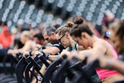 Rogue Air Bike Rogue Echo Bike Wobbly Arms Celsius AB1 Air Bike