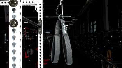 Rogue Infinity Rogue Pulley Machine Rogue Monster Slinger™ Rogue