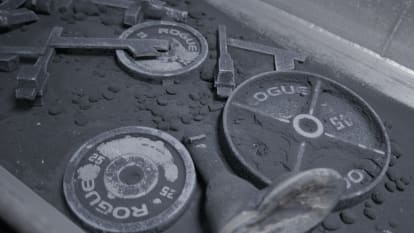 Rogue Deep Dish Plates Rogue Fitness