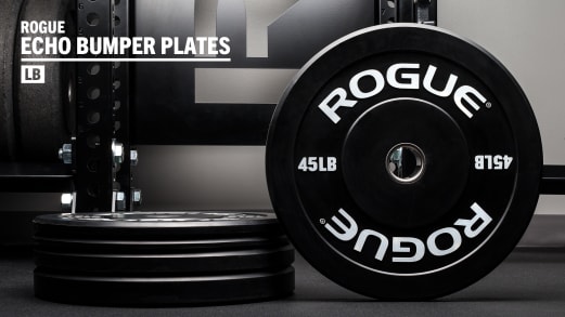 Rogue Echo Bumper Plates Rogue Fitness