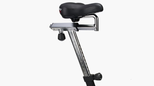 Assault AirBike Rogue Fitness Canada