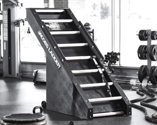 Jacobs Ladder Rogue Fitness