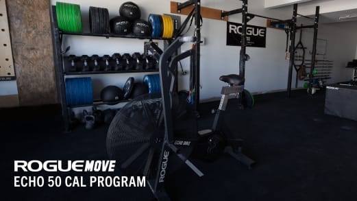 Rogue Move Echo 50 Cal Program (eBook)