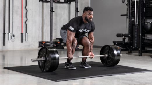 Power Platform Rogue Fitness