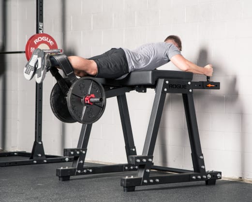 Rogue Z Hyper Reverse Hyper Machine Rogue Fitness Australia