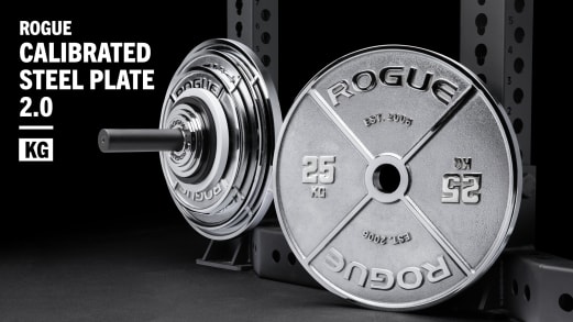 Rogue Calibrated KG Steel Plates Chrome Rogue Fitness