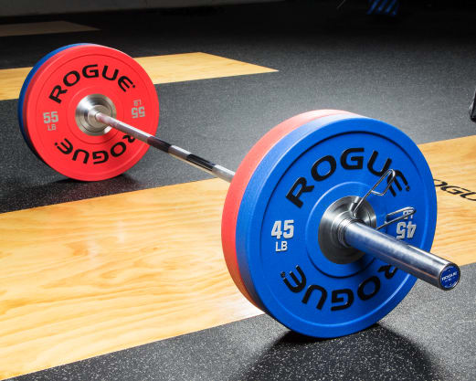 Rogue Iron Plates （プレート）トレーニングジム用品 Rogue Training 