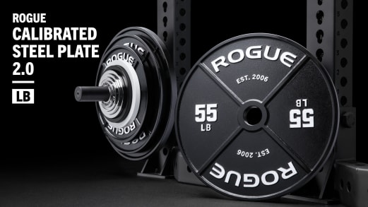 Weightlifting Rogue Fitness Calibrated Plates Calibrated Plate Pair - Main Image