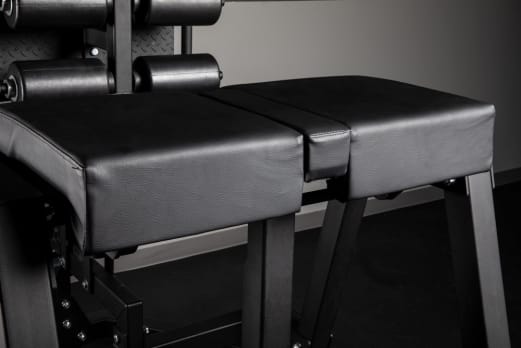 Rogue Donkey Rogue Fitness Australia