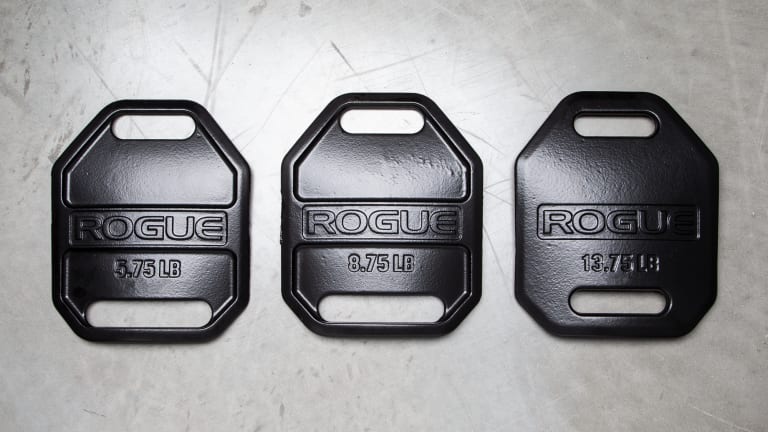 Rogue Cast Weight Vest Plates