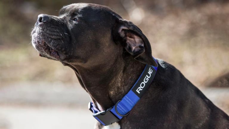 catalog/Gear and Accessories/Accessories/Everyday Gear/RA098/RA0980-BLACK-H_ekw69a