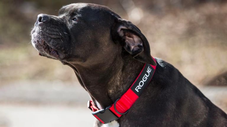 catalog/Gear and Accessories/Accessories/Everyday Gear/RA098/RA0980-BLACK-H_ekw69a