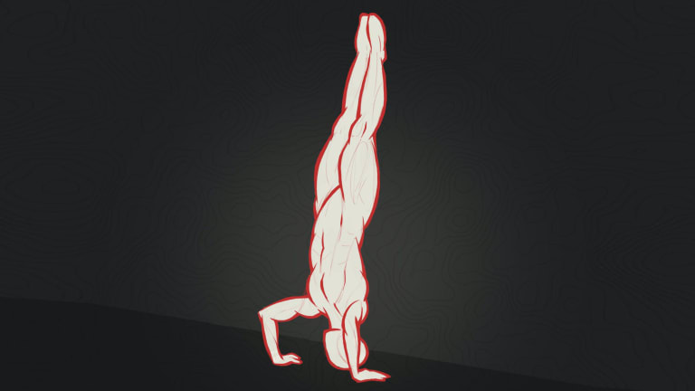 catalog/Gear and Accessories/Books and Media/EBOOKS/BTWB Varied Not Random - First Handstand Pushup (eBook) VN0012/VN0012-H_fwwrto
