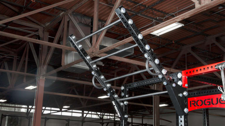 Rogue Monster Flying Pull-up Bar