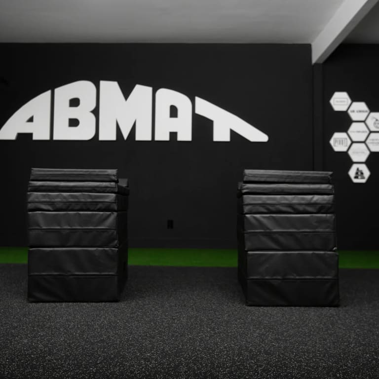 catalog/Strength Equipment/Training Accessories /AB0040/AB0040-Web3_judysr