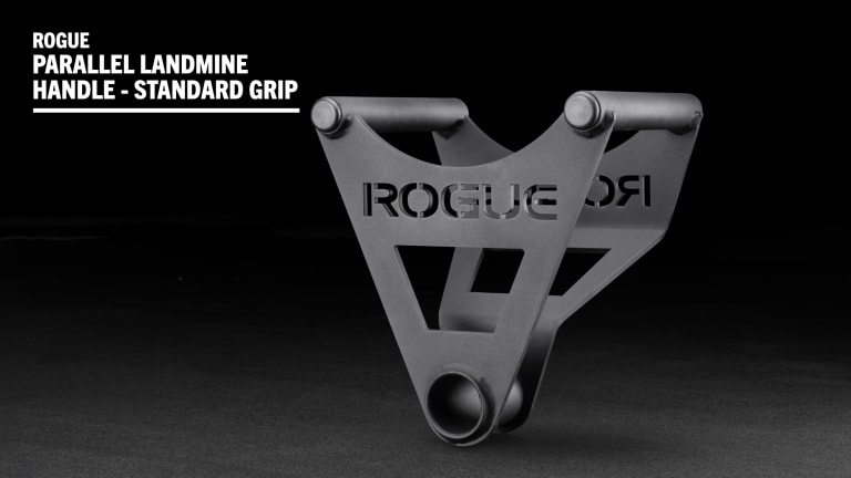 catalog/Strength Equipment/Training Accessories /RA0947/RA0947-GFX-H_u0jnuv