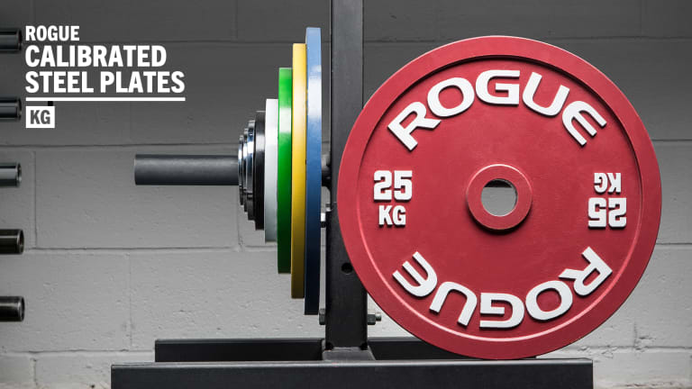 2025 Plate Header Update/Rogue_Calibrated_KG_Steel_Plates-Header-GFX_l6jtwo