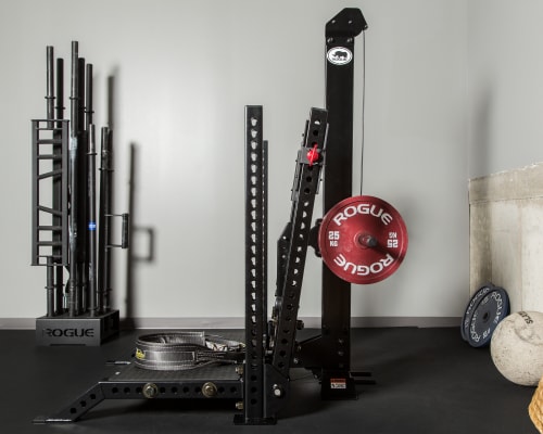rogue belt squat